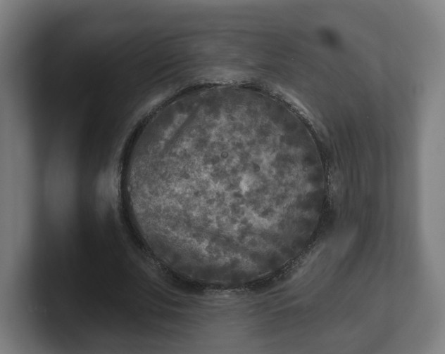 X0000101700679200807171515