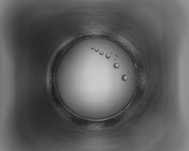 X0000101700680200807171515