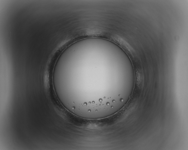 X0000101700684200807171515