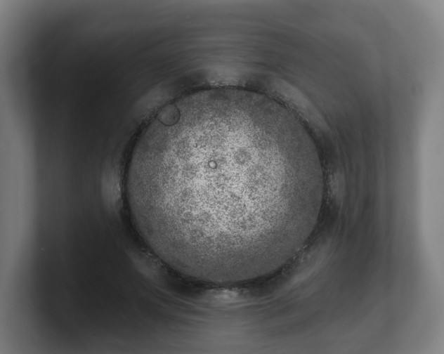 X0000101700687200807171515