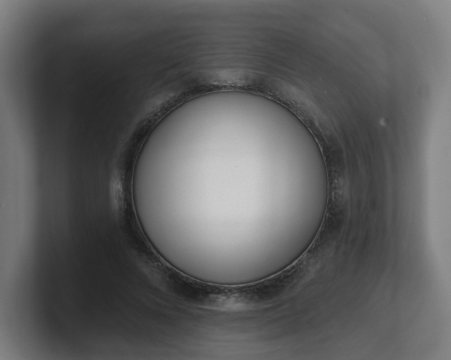 X0000101700688200807171515