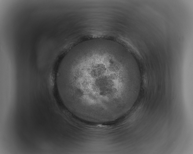 X0000101700691200807171515