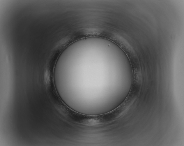 X0000101700692200807171515