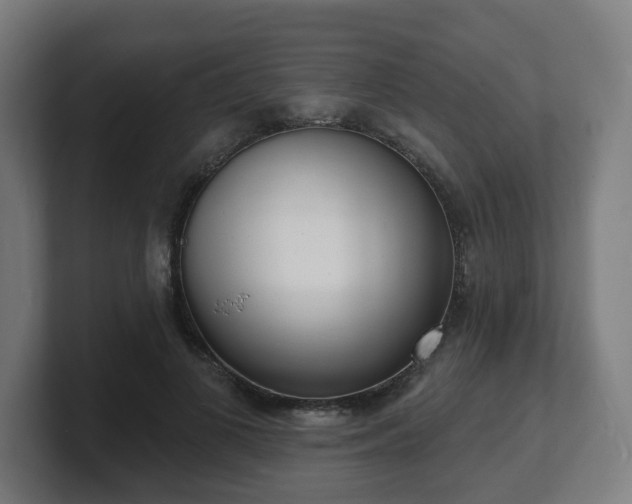 X0000101700693200807171515