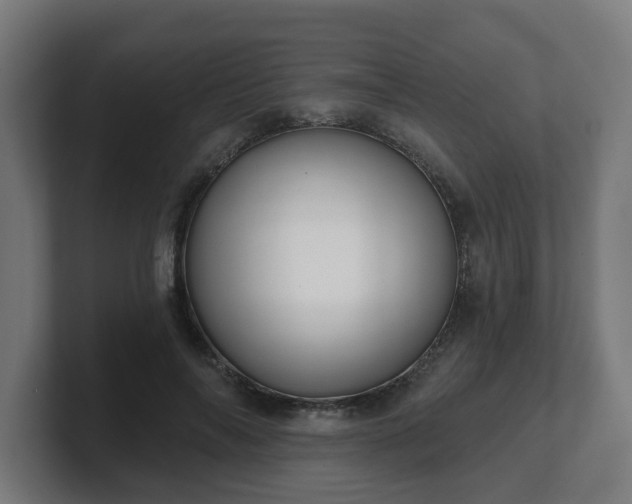 X0000101700694200807171515