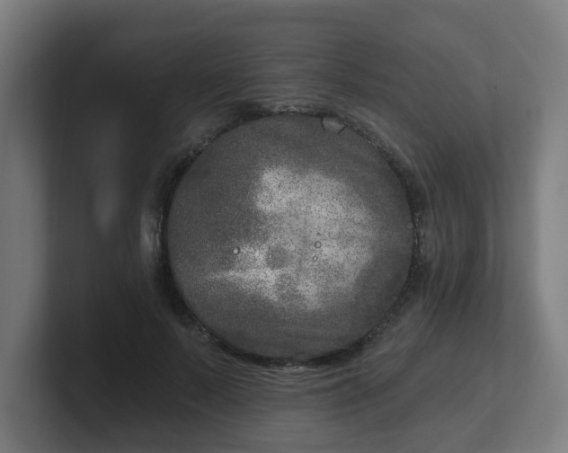 X0000101700695200807171515