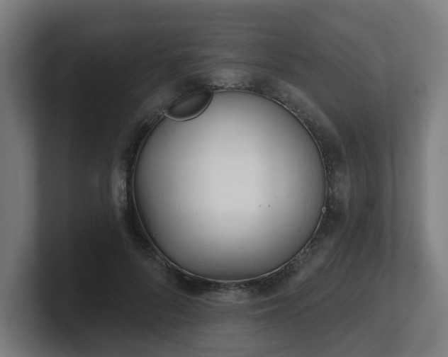 X0000101700696200807171515