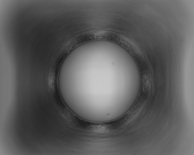 X0000101700698200807171515