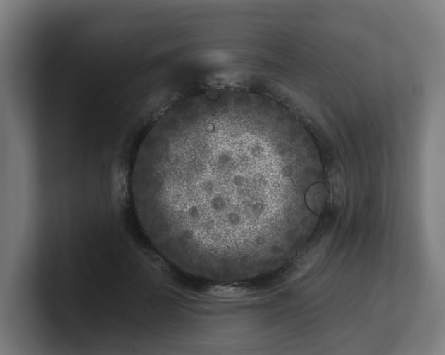 X0000101700699200807171515