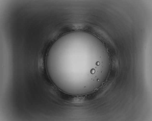 X0000101700700200807171515