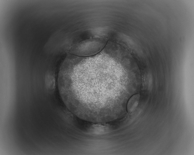 X0000101700703200807171515