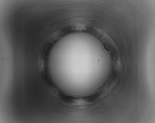 X0000101700704200807171515