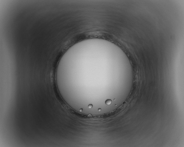 X0000101700708200807171515