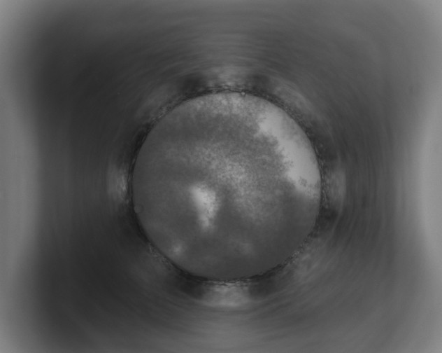 X0000101700709200807171514