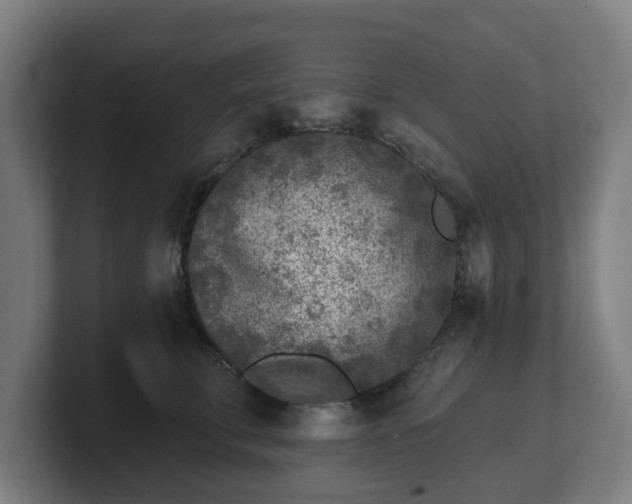 X0000101700711200807171514