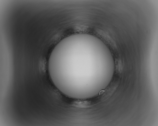 X0000101700712200807171514