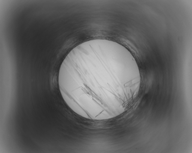 X0000101700717200807171514