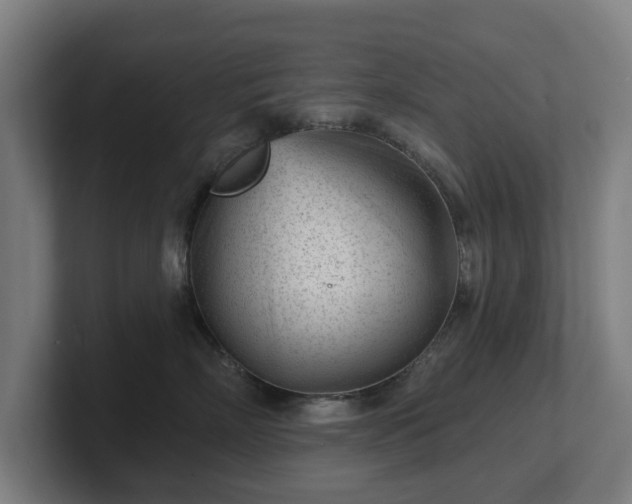 X0000101700718200807171514