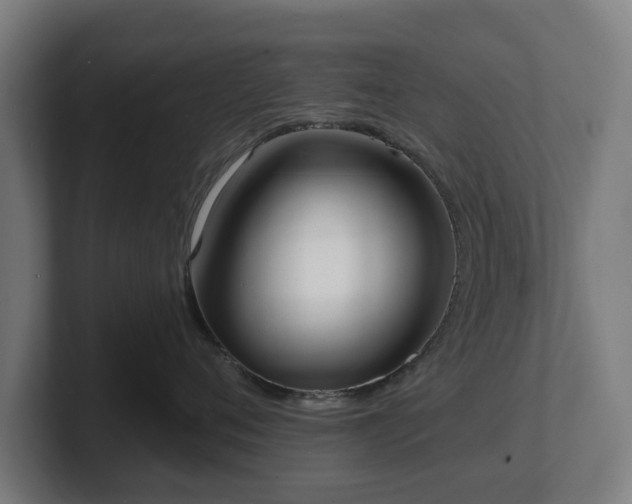 X0000101700720200807171514