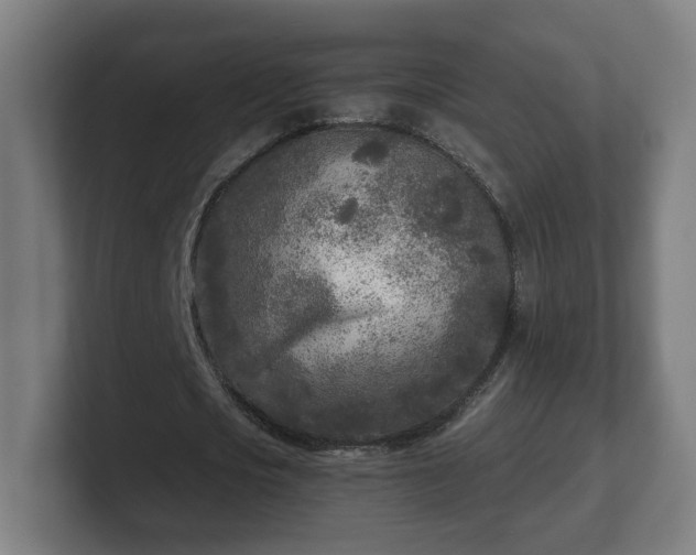 X0000101700721200807171514