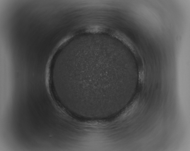 X0000101700724200807171514