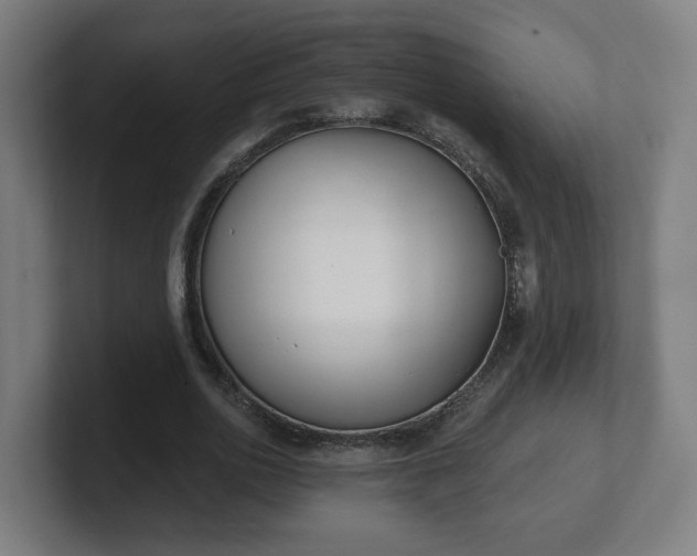 X0000101700726200807171514