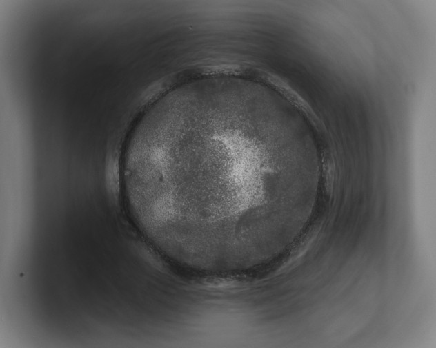 X0000101700729200807171514