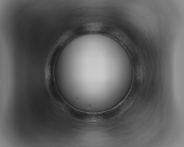 X0000101700731200807171514