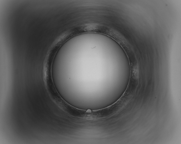 X0000101700732200807171514