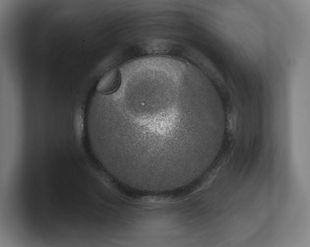 X0000101700733200807171514