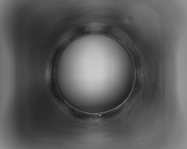 X0000101700735200807171514