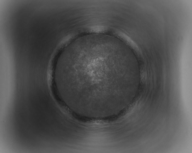 X0000101700736200807171514