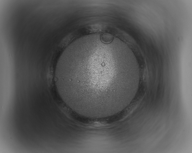 X0000101700737200807171514