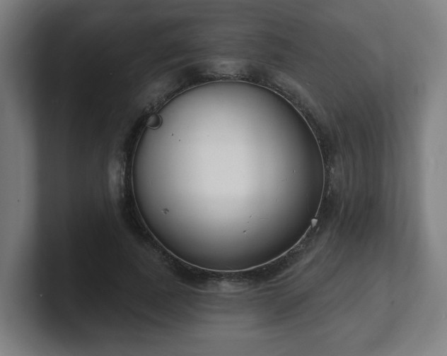 X0000101700739200807171514