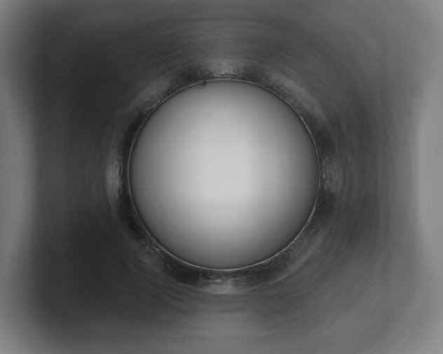 X0000101700740200807171514