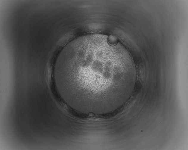 X0000101700742200807171514