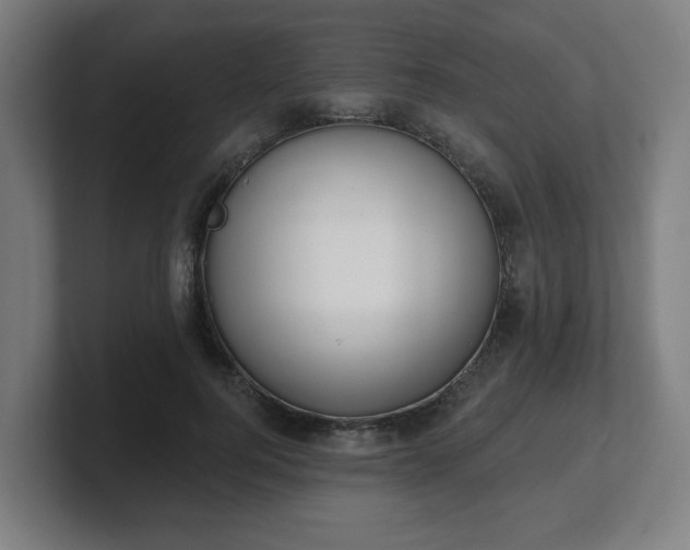 X0000101700744200807171514