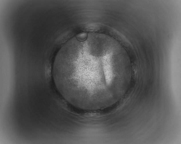 X0000101700745200807171514