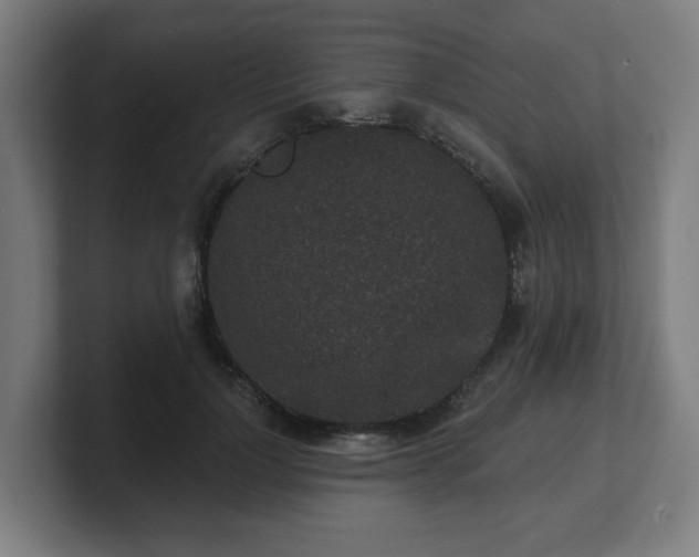 X0000101700748200807171514