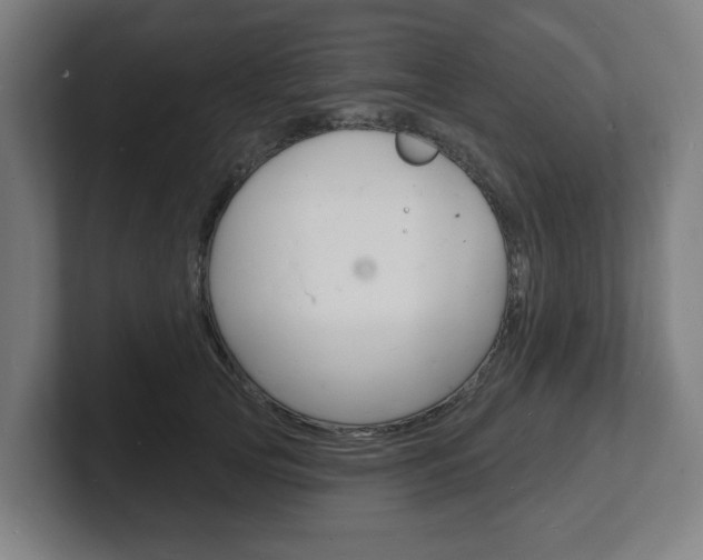 X0000101700753200807171514