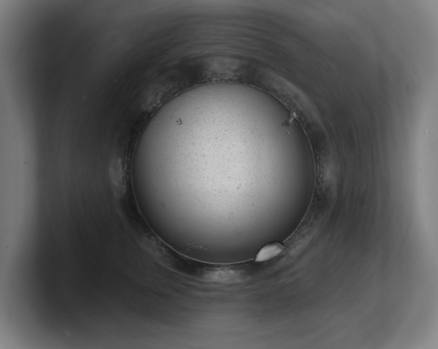 X0000101700759200807171514