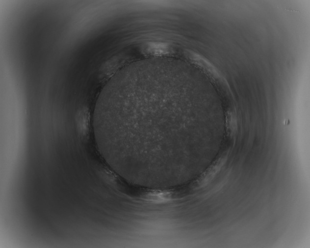 X0000101700760200807171514