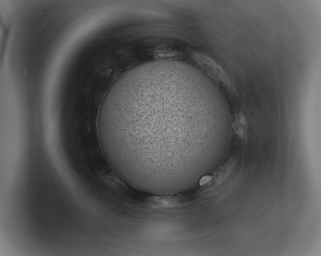 X0000101700763200807171514