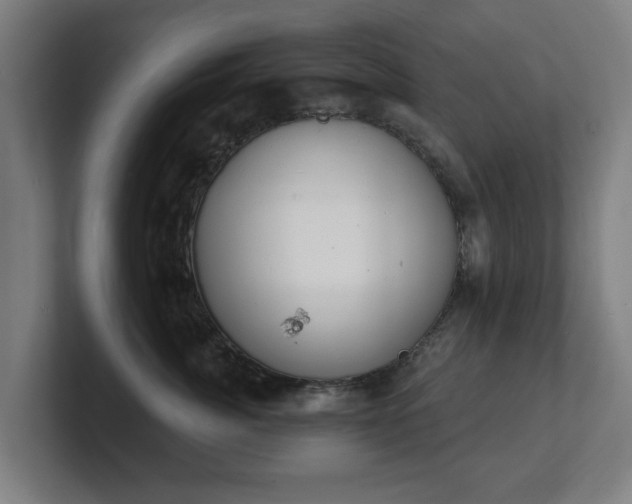 X0000101700764200807171514