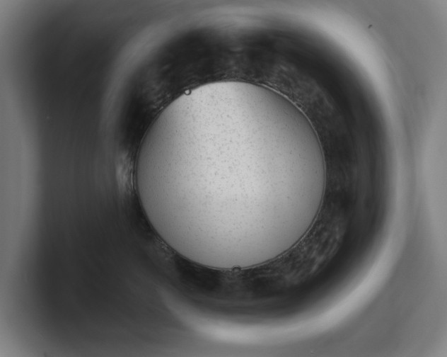 X0000101700766200807171514