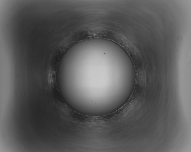 X0000101700770200807171514