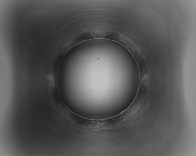 X0000101700772200807171514