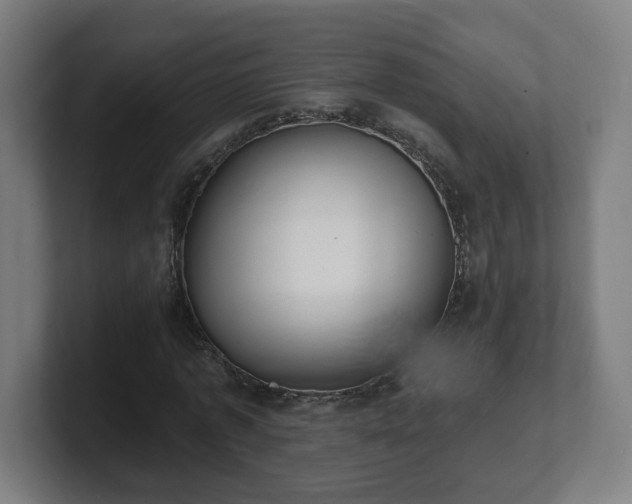 X0000101700773200807171514