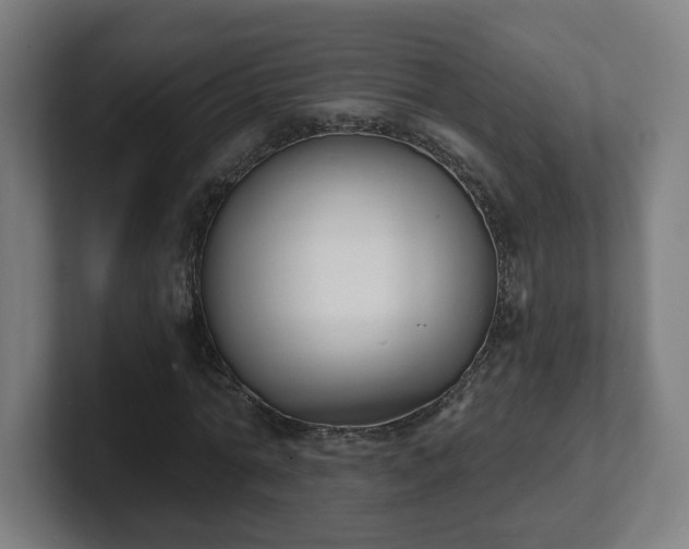 X0000101700774200807171514