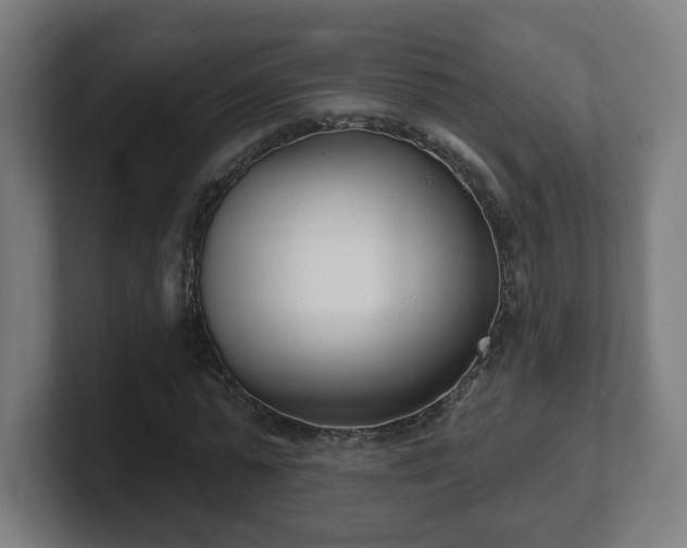 X0000101700775200807171514